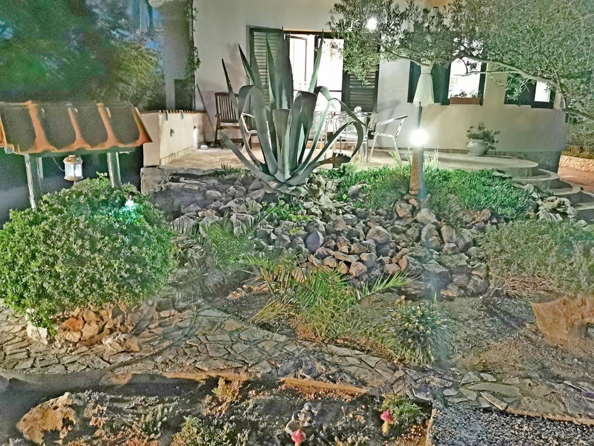 Apartmani Antonela&Andrej Privlaka  Dış mekan fotoğraf