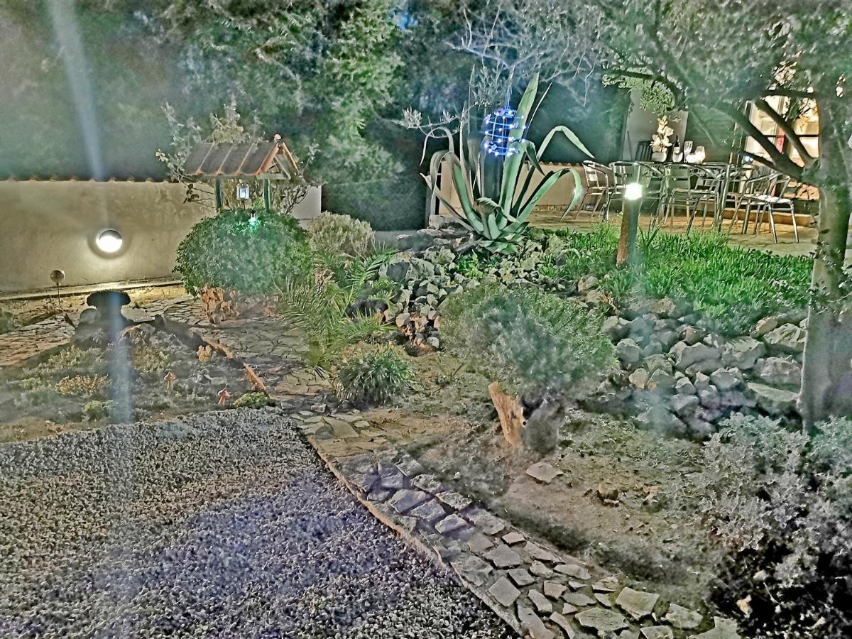 Apartmani Antonela&Andrej Privlaka  Dış mekan fotoğraf