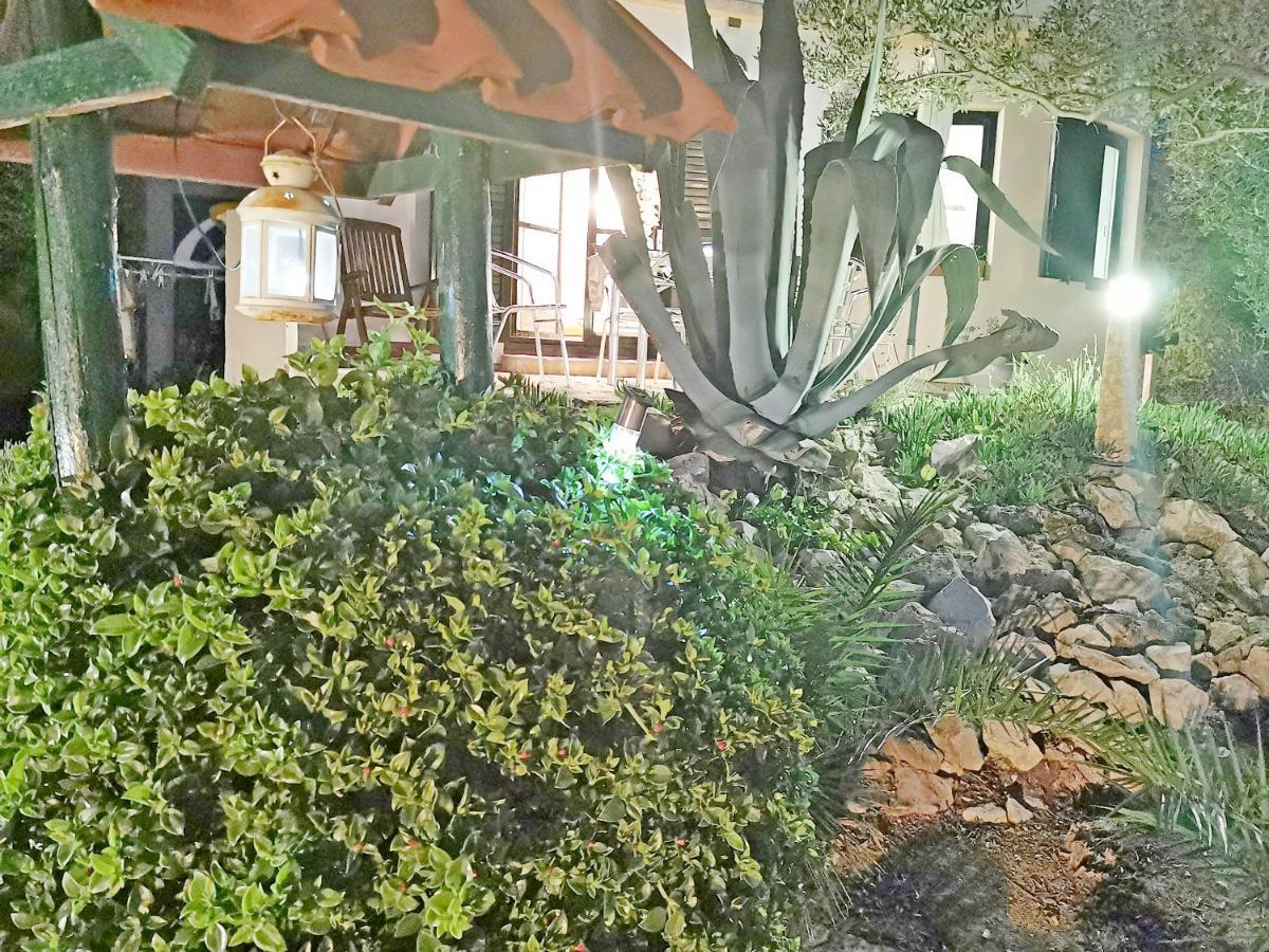 Apartmani Antonela&Andrej Privlaka  Dış mekan fotoğraf