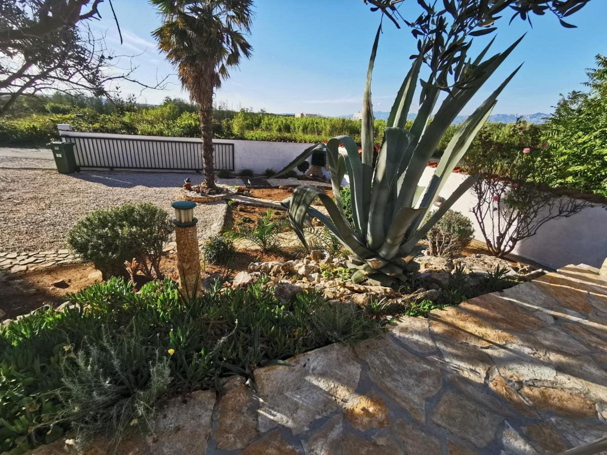 Apartmani Antonela&Andrej Privlaka  Dış mekan fotoğraf