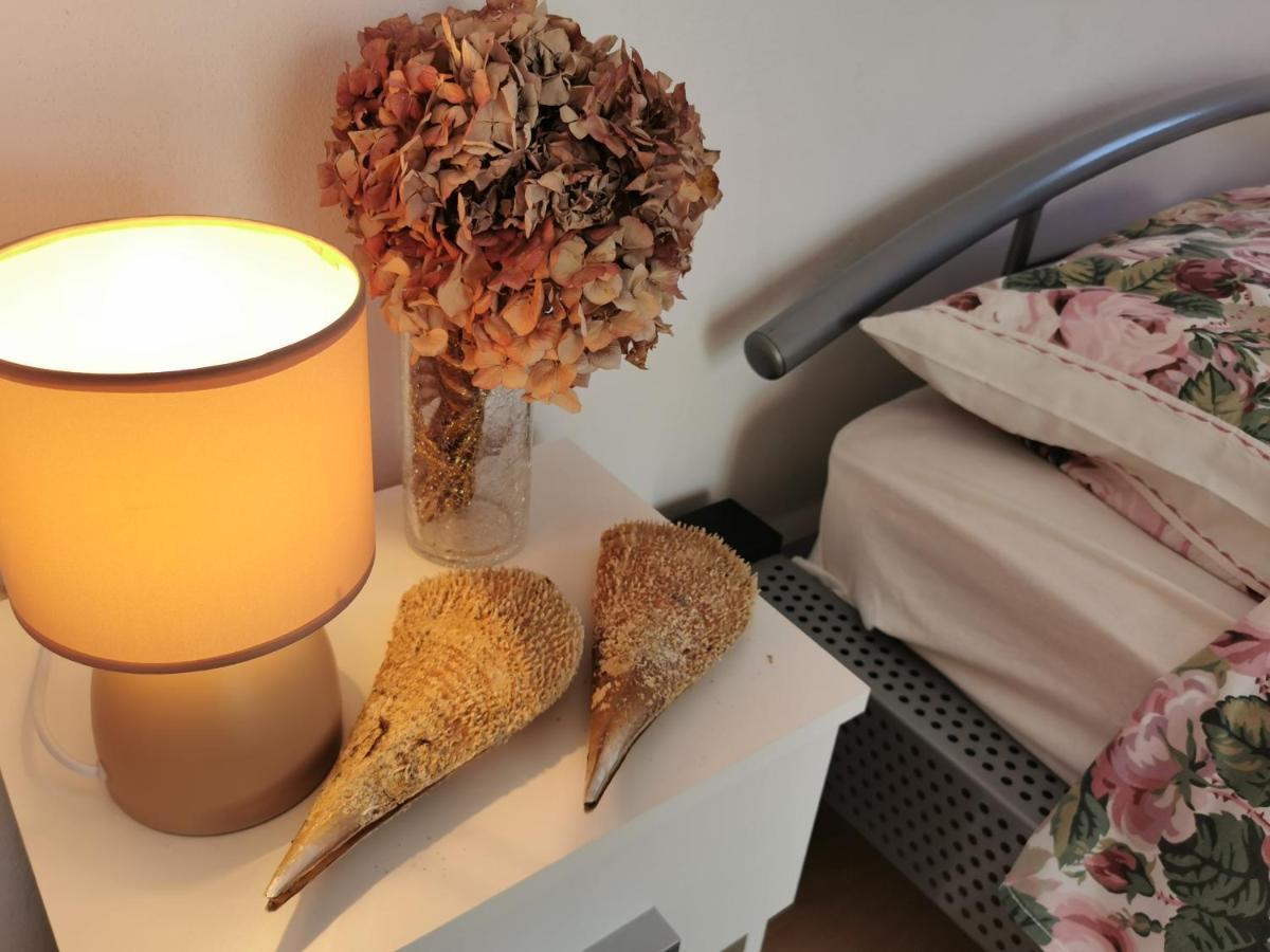 Apartmani Antonela&Andrej Privlaka  Dış mekan fotoğraf