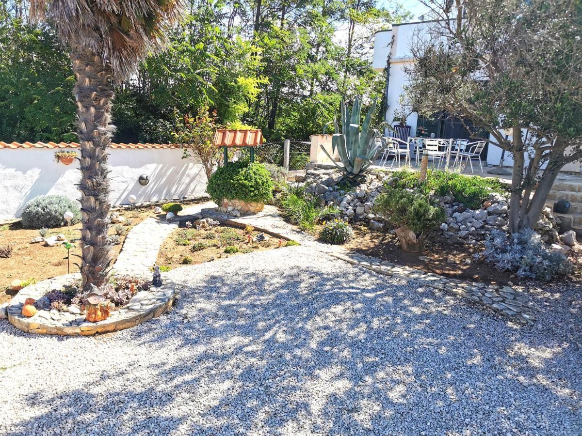 Apartmani Antonela&Andrej Privlaka  Dış mekan fotoğraf