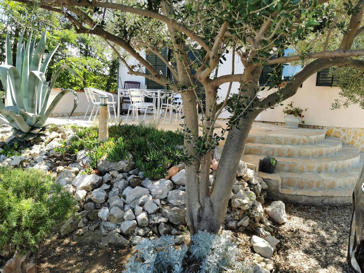 Apartmani Antonela&Andrej Privlaka  Dış mekan fotoğraf