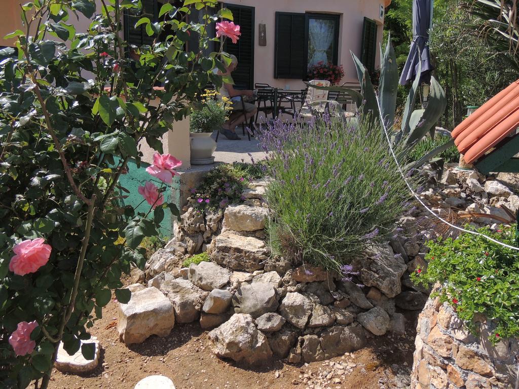 Apartmani Antonela&Andrej Privlaka  Dış mekan fotoğraf