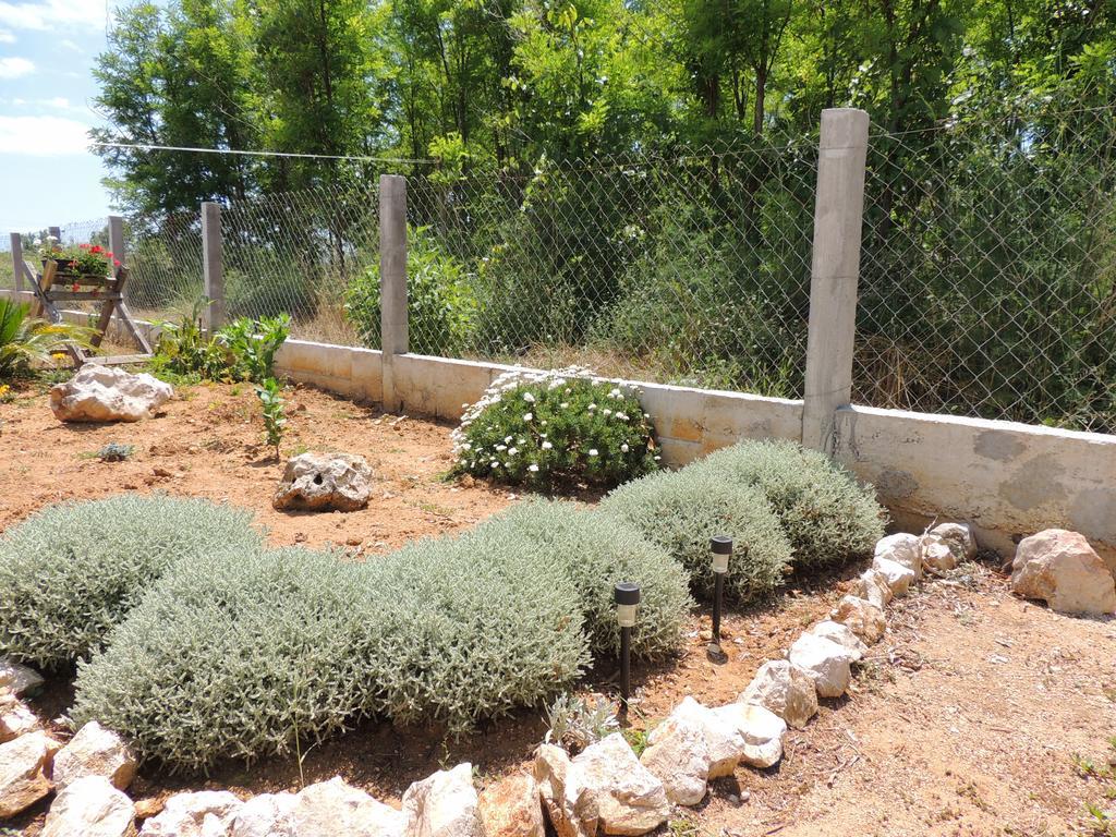 Apartmani Antonela&Andrej Privlaka  Dış mekan fotoğraf